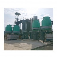 biomass gasification power station